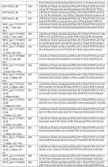 Figure GDA0003420037120000551