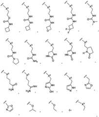 Figure FDA0003652151050000121