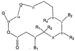 Figure imgf000005_0001