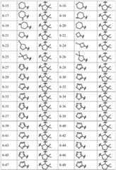 Figure BDA0003141290410000811