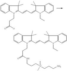 Figure US06348599-20020219-C00011