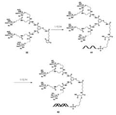 Figure 106103567-A0304-12-0153-148