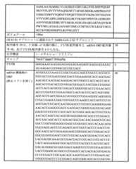 Figure 0007438604000037