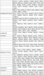 Figure BDA0004033970230003881