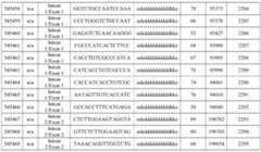 Figure imgf000415_0001