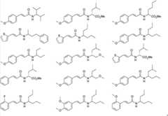 Figure BDA00003363594800671