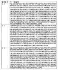 Figure JPOXMLDOC01-appb-T000005