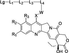 Figure PCTCN2022073822-appb-000397