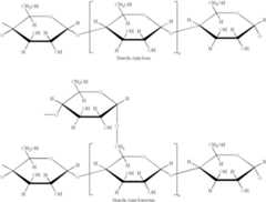 Figure US06517678-20030211-C00001