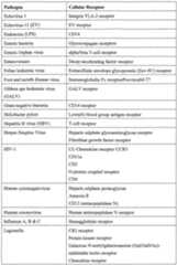 Figure imgf000039_0001