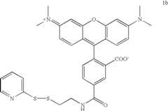 Figure US07772384-20100810-C00003