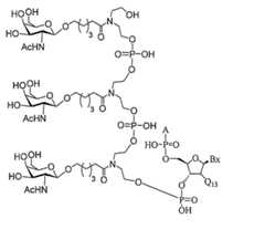 Figure 0007429103000119