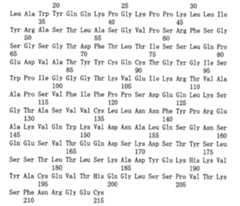 Figure 108143719-A0101-12-0090-178