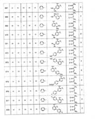 Figure A20081018956901461