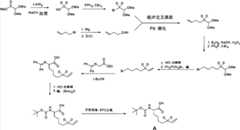 Figure BPA00001530935300721