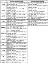 Figure imgf000042_0001