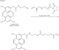 Figure US07354706-20080408-C00006