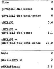 Figure imgf000029_0001