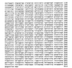 Figure 104109152-A0305-02-0132-13