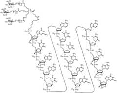 Figure BDA0002976854330000481