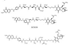 Figure imgf000145_0001