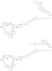 Figure US11364300-20220621-C00210