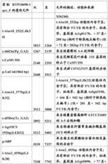 Figure BDA0001349734580001391