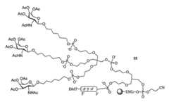 Figure 2023113843000184