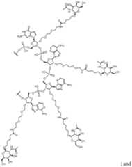 Figure imgf000009_0001