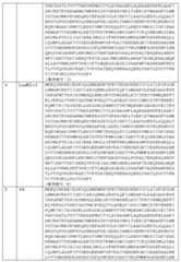 Figure 2022545625000002