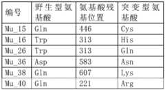 Figure BDA0002777135040000051