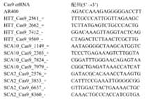 Figure 0007365363000006