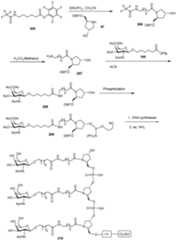 Figure imgf000271_0001