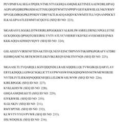 Figure imgf000049_0001