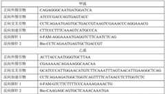 Figure BDA0003026995310000081