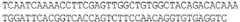 Figure imgb0016
