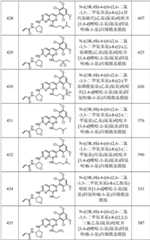 Figure GPA0000263212130002081