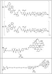 Figure BDA0002889616220001631