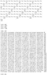 Figure IDA00002091897103871