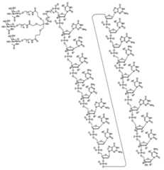 Figure 0007429103000014