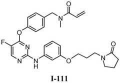 Figure BDA0001453135130002511