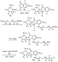 Figure imgf000118_0001
