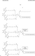 Figure imgf000044_0001