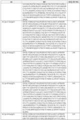 Figure imgf000250_0001