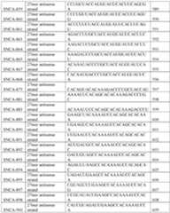 Figure imgf000195_0001