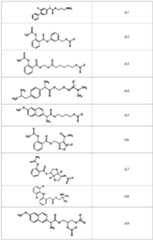 Figure PCTCN2023071255-appb-000146
