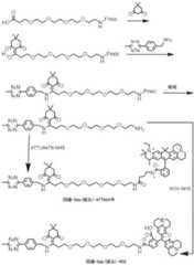 Figure BDA0003670511740004631