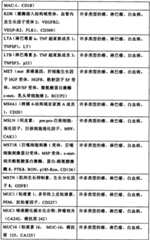 Figure BSA0000176163890000201