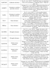 Figure PCTCN2022090268-appb-000075