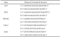 Figure BDA0003469397960000061
